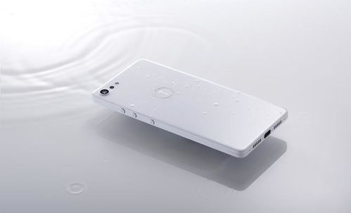 中端颜值担当，坚果科技三款手机大杀器解析